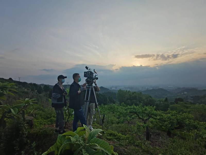 创意破圈！民丰县电商产品宣传视频用故事化叙事引爆流量