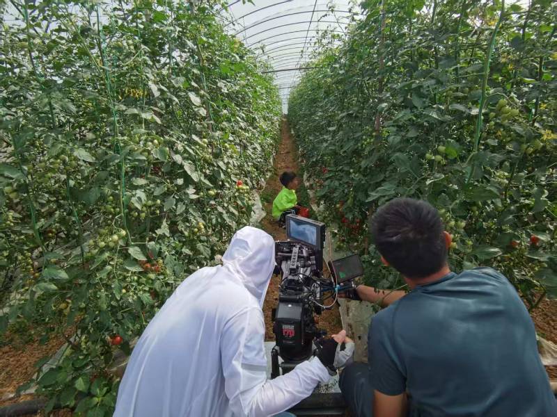 民丰县产品宣传视频拍摄公司进阶指南，助力品牌抢占传播高地